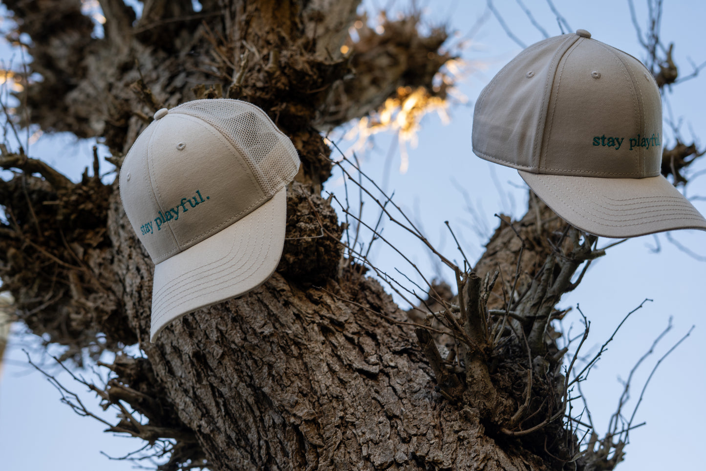 Two cap bundle